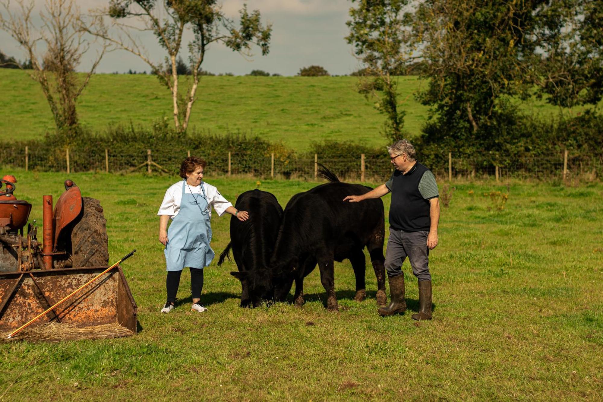 Oranmore แบลลีมีนา ภายนอก รูปภาพ